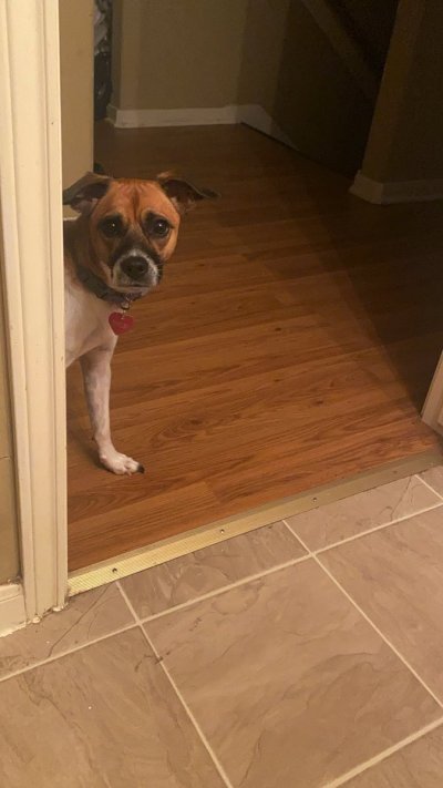 Watch Bryant.A 🇳🇬✨'s leaked NSFW photo on TwXstars