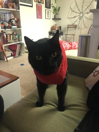 Watch ari ♡'s leaked NSFW photo on TwXstars