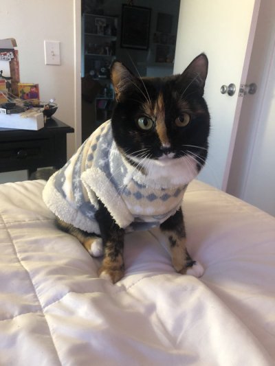 Watch ari ♡'s leaked NSFW photo on TwXstars