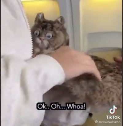 Watch 🧞‍♂️'s leaked NSFW photo on TwXstars