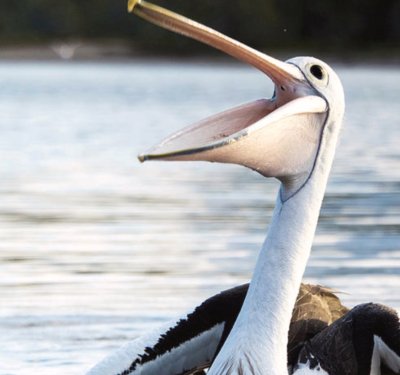 Watch Hank Green's leaked NSFW photo on TwXstars