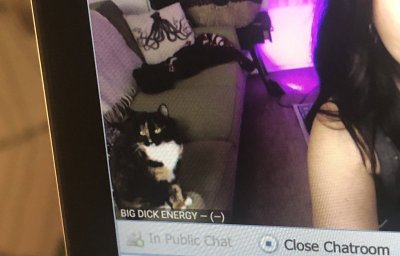 Watch ari ♡'s leaked NSFW photo on TwXstars