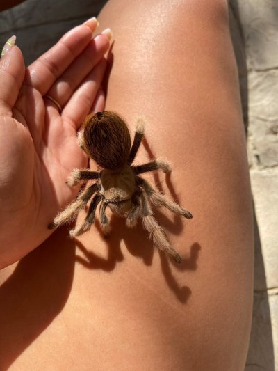 Watch emily cheree's leaked NSFW photo on TwXstars