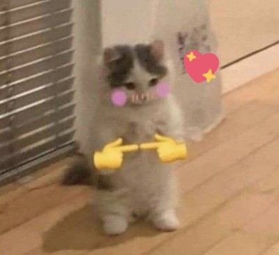 Watch Rey 🐉's leaked NSFW photo on TwXstars