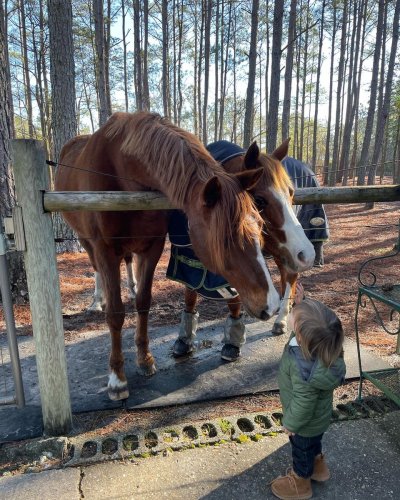 Watch Eva Lovia®'s leaked NSFW photo on TwXstars