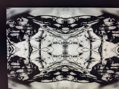 Watch SATANIC YØGA's leaked NSFW photo on TwXstars