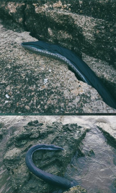 Watch NOTHOSAUR Aliexpress Official Store's leaked NSFW photo on TwXstars