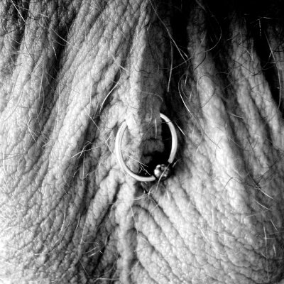 Watch SATANIC YØGA's leaked NSFW photo on TwXstars