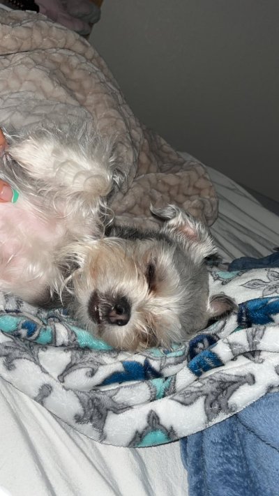 Watch TheMirandaAffect's leaked NSFW photo on TwXstars