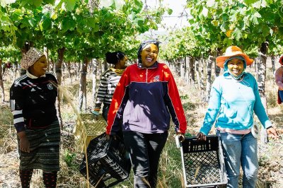 Watch Waitrose & Partners's leaked NSFW photo on TwXstars