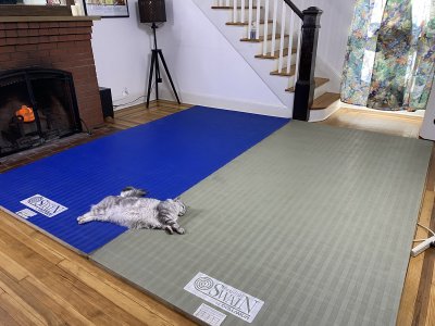 Watch The 1 & Only Enchantress Sahrye Booking FetCon 25's leaked NSFW photo on TwXstars