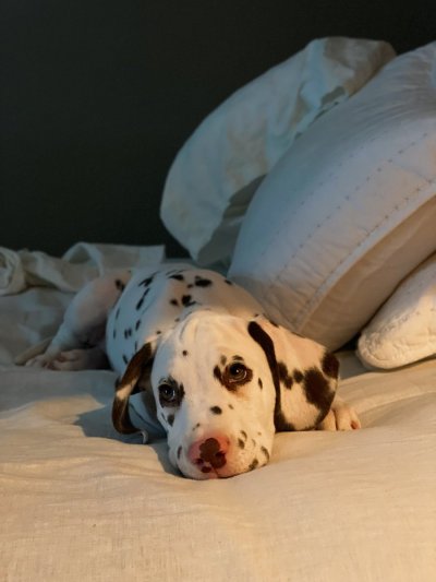 Watch Leo Grand's leaked NSFW photo on TwXstars