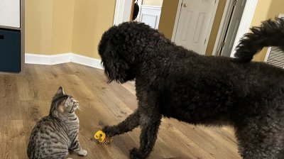 Watch Tanya Tehanna's leaked NSFW photo on TwXstars