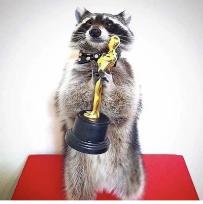 Watch Thesabrinabanks 🦝 💦's leaked NSFW photo on TwXstars