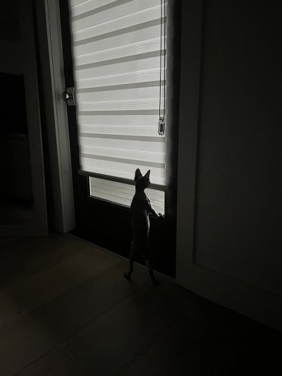 Watch Lauren Summer's leaked NSFW photo on TwXstars