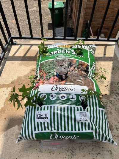 Watch rai's leaked NSFW photo on TwXstars