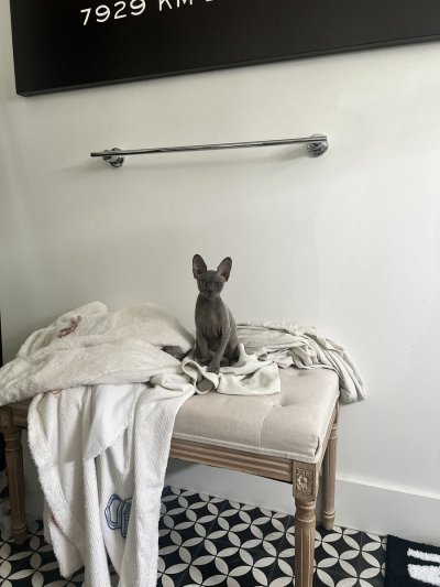 Watch Lauren Summer's leaked NSFW photo on TwXstars