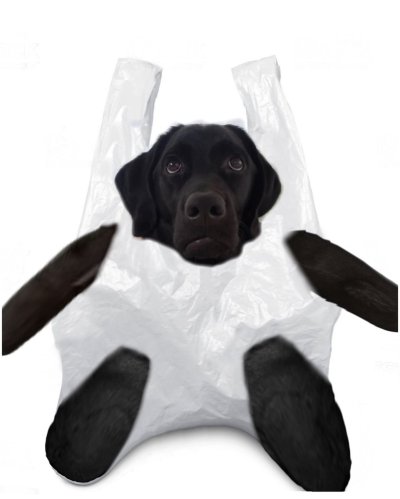 Watch ♩ིྀ's leaked NSFW photo on TwXstars