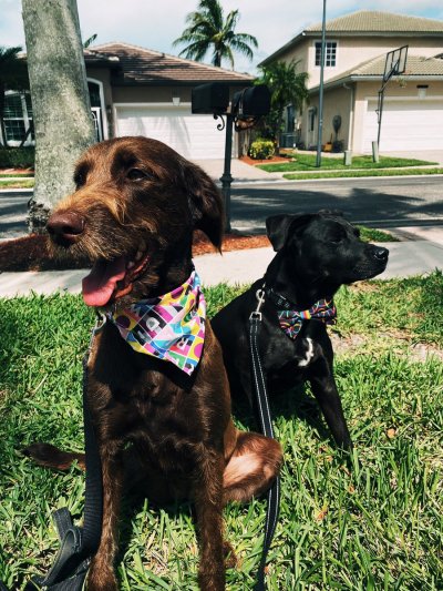 Watch Kyle Hart's leaked NSFW photo on TwXstars