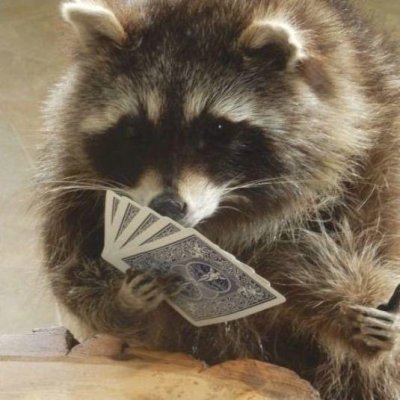 Watch Thesabrinabanks 🦝 💦's leaked NSFW photo on TwXstars