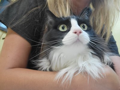 Watch Allie Eve Knox's leaked NSFW photo on TwXstars