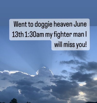 Watch Dillion Harper's leaked NSFW photo on TwXstars