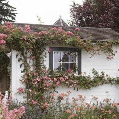 Watch 🕯🏰's leaked NSFW photo on TwXstars