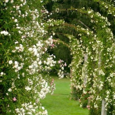 Watch 🕯🏰's leaked NSFW photo on TwXstars