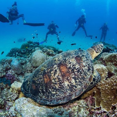 Watch Australia's leaked NSFW photo on TwXstars