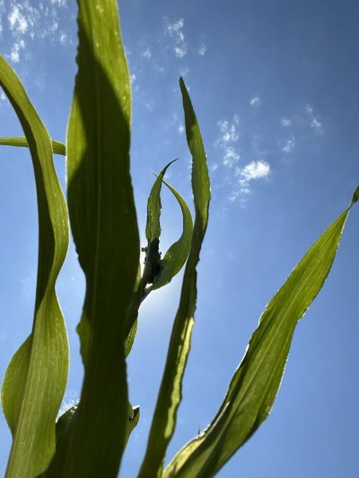 Watch Evelyn Claire's leaked NSFW photo on TwXstars