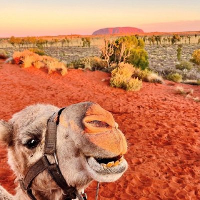 Watch Australia's leaked NSFW photo on TwXstars