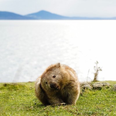 Watch Australia's leaked NSFW photo on TwXstars