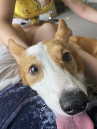 Watch Maya Pryce's leaked NSFW photo on TwXstars