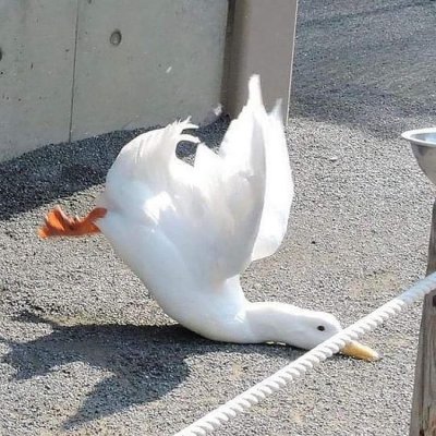 Watch Funny Quotes's leaked NSFW photo on TwXstars