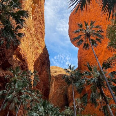 Watch Australia's leaked NSFW photo on TwXstars