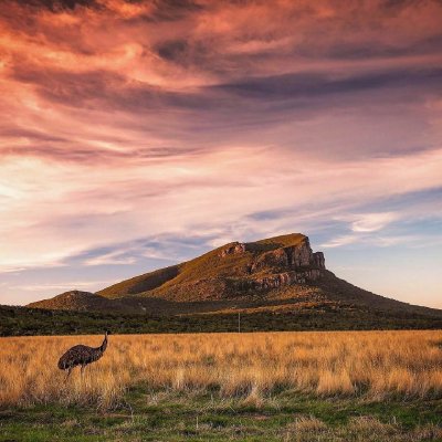 Watch Australia's leaked NSFW photo on TwXstars