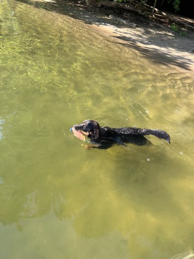 Watch Lucy's leaked NSFW photo on TwXstars