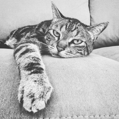 Watch Cherry Crush 🍒's leaked NSFW photo on TwXstars