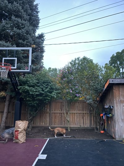 Watch Holly Wolf 🩵🤍's leaked NSFW photo on TwXstars