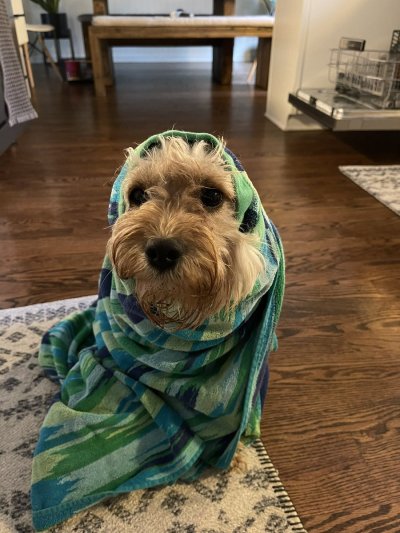 Watch Neal 🎮's leaked NSFW photo on TwXstars