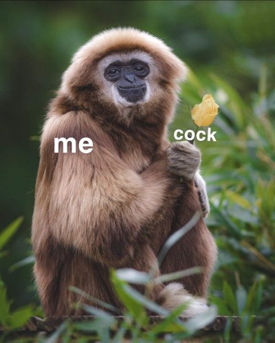 Watch 🔪🖤Ashley🖤🔪's leaked NSFW photo on TwXstars