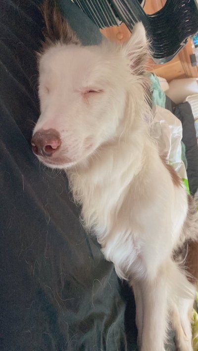 Watch 🌈 kezia slater💘's leaked NSFW photo on TwXstars