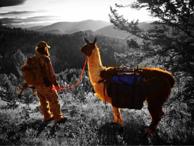 Watch Antlerfinder's leaked NSFW photo on TwXstars