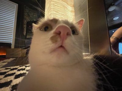 Watch Leah's leaked NSFW photo on TwXstars