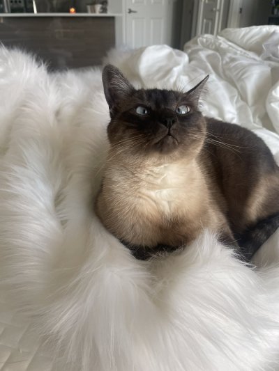 Watch Lauren 🧚🏻‍♀️'s leaked NSFW photo on TwXstars