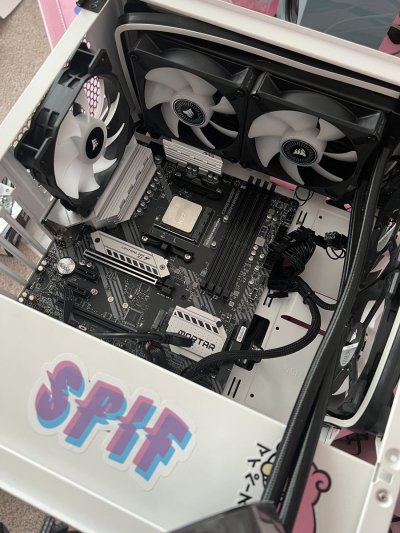 Watch lex ʕ •ᴥ•ʔ's leaked NSFW photo on TwXstars