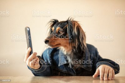 Watch Leah's leaked NSFW photo on TwXstars