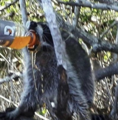 Watch Lauren 🧚🏻‍♀️'s leaked NSFW photo on TwXstars