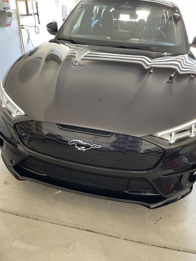 Watch Towelliee's leaked NSFW photo on TwXstars