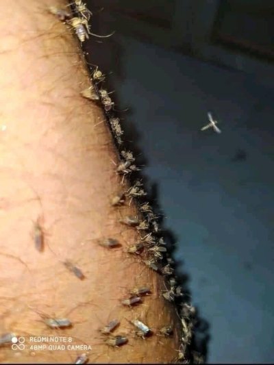 Watch Uglyboy_OJ🐉's leaked NSFW photo on TwXstars